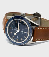 Seamaster 300 Co-Axial Titanium