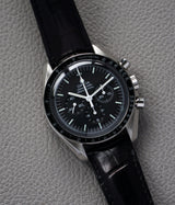 Speedmaster Moonwatch Hesalite